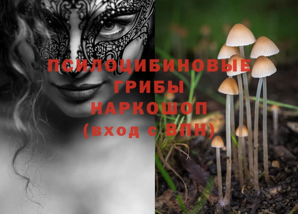 PSILOCYBIN Лихославль