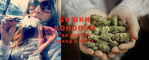 дживик Липки