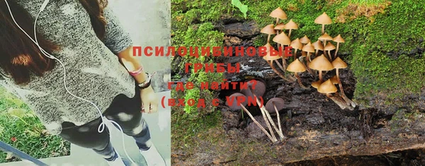 дживик Липки