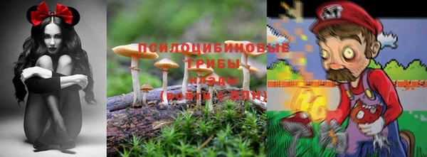 ALPHA-PVP Лиски