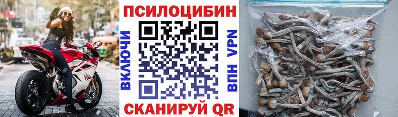 Псилоцибиновые грибы прущие грибы  Чкаловск 
