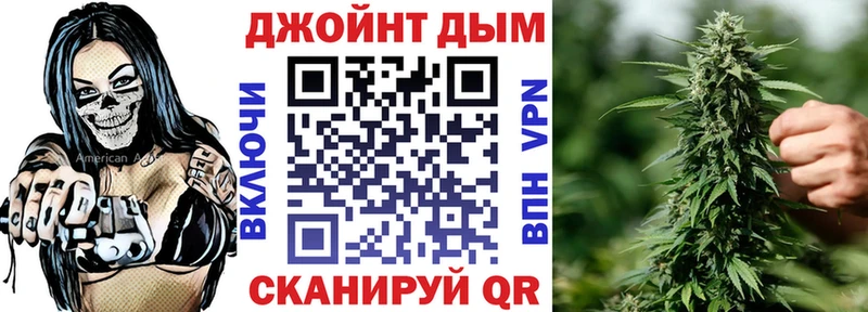 Конопля сатива  дарнет шоп  Чкаловск 